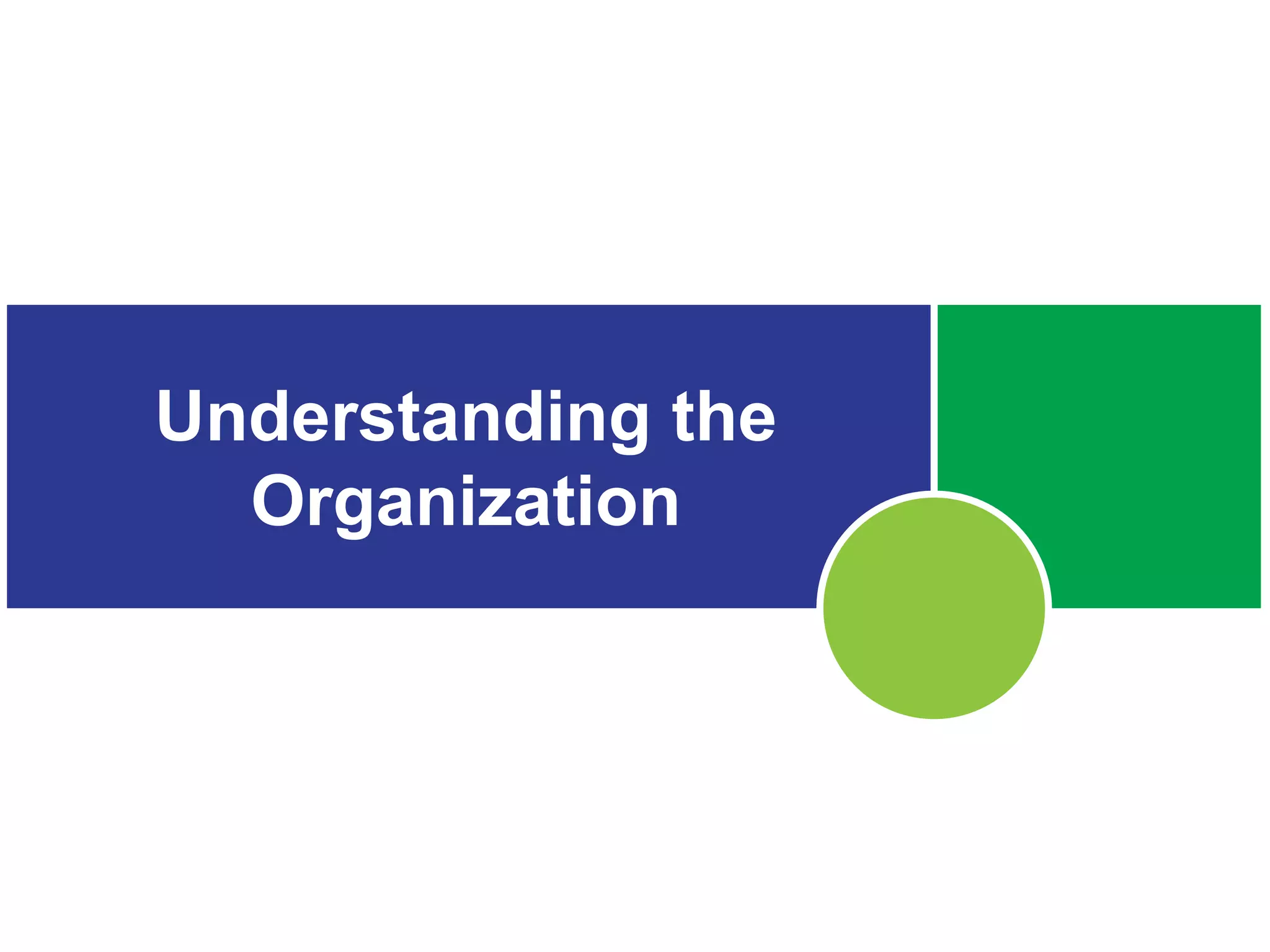 Understanding the
Organization
 