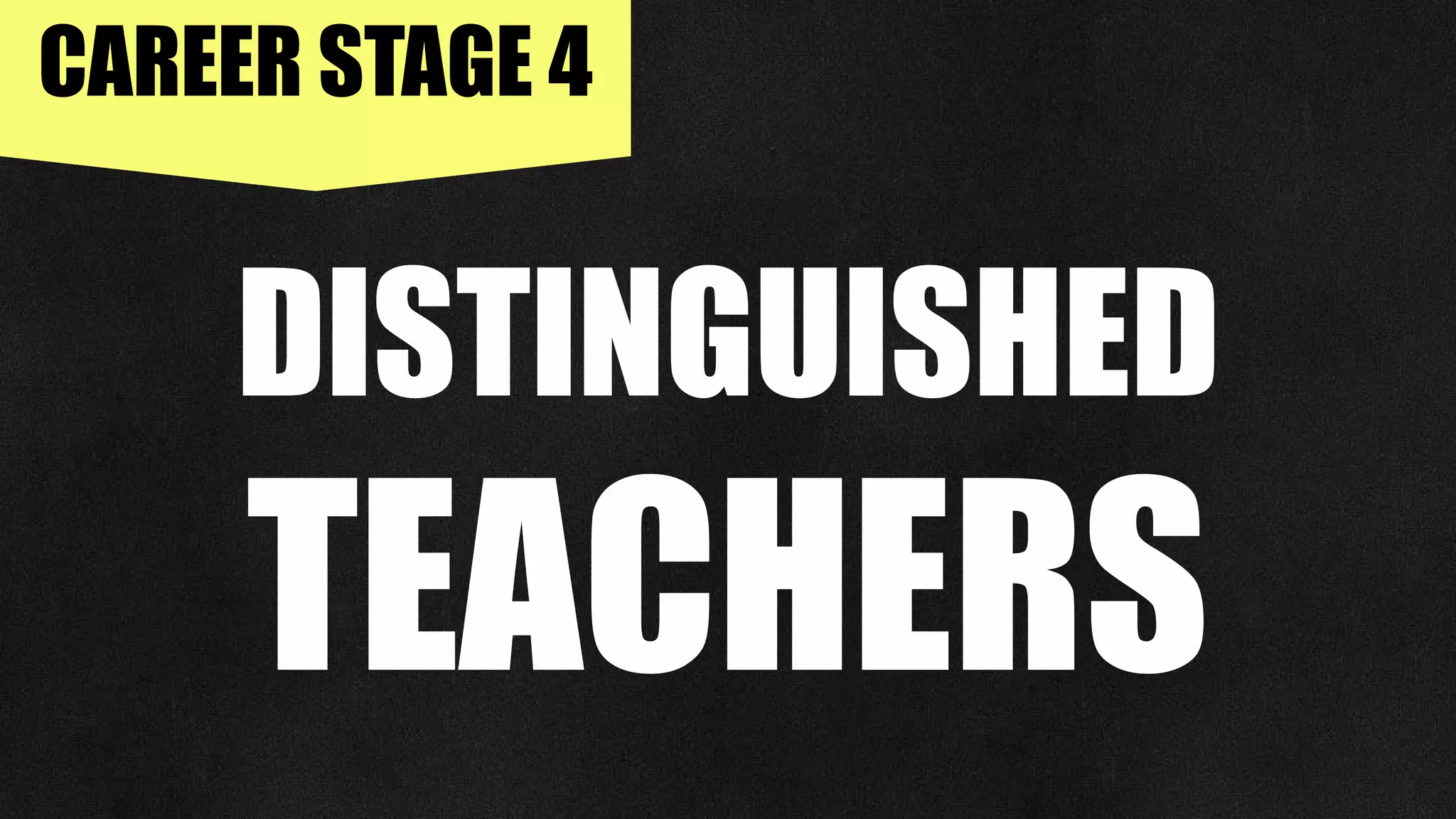 CAREER STAGE 4
DISTINGUISHED
TEACHERS
 