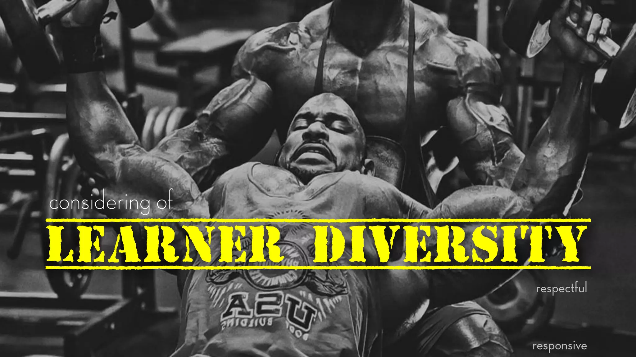 learner diversity
 