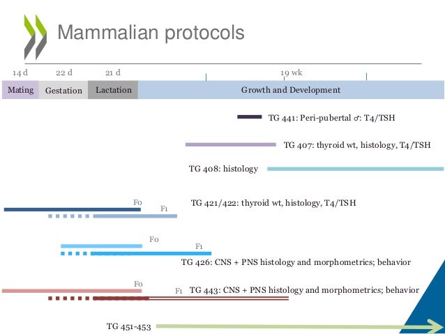 Overview of OECD Test Guidelines for Thyroid Effects