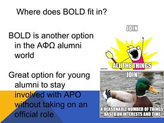 BOLD is another option
in the AΦΩ alumni
world
Great option for young
alumni to stay
involved with APO
without taking on an
official role
Where does BOLD fit in?
 