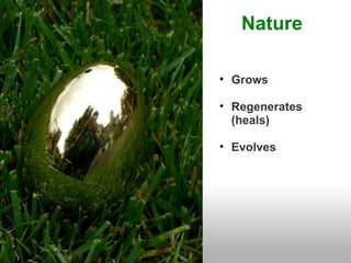 Nature

• Grows

• Regenerates
  (heals)

• Evolves
 