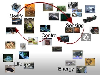 Modify

                     Sensing

         Control




  Life
                   Energy
 