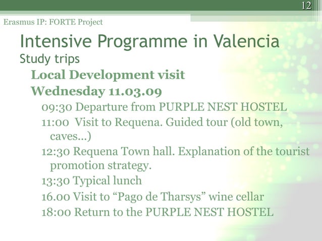 Presentation Forte Project | PPT | Travel
