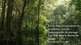 La vie dans l’écosystème de
tourbières : cas des
communautés du paysage
Lac Télé dans le Bassin du
Congo
Gérard Bondeko - 3 juin 2020
 