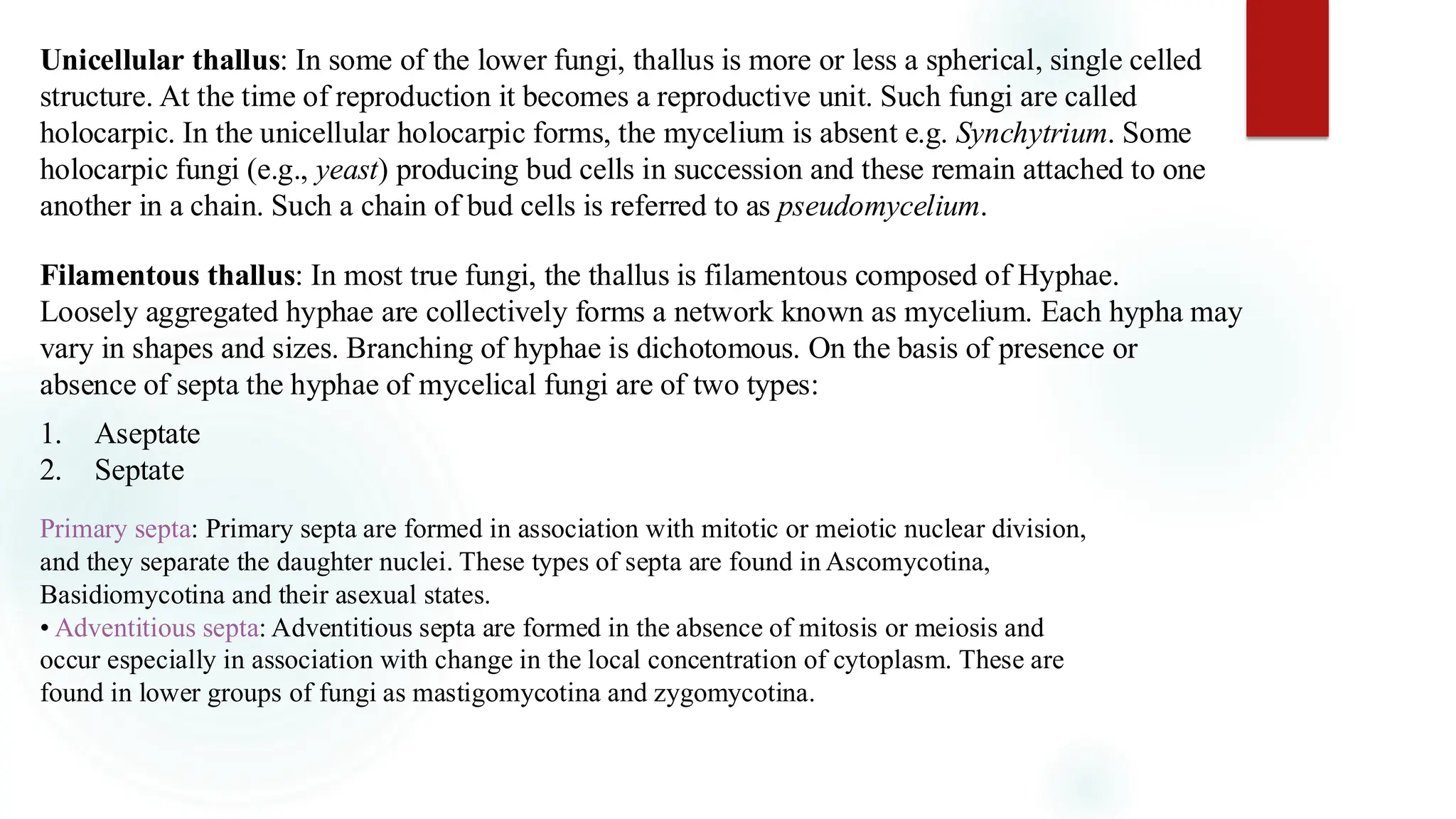 Unicellular thallus: In some of the lower fungi, thallus is more or less a spherical, single celled
structure. At the time of reproduction it becomes a reproductive unit. Such fungi are called
holocarpic. In the unicellular holocarpic forms, the mycelium is absent e.g. Synchytrium. Some
holocarpic fungi (e.g., yeast) producing bud cells in succession and these remain attached to one
another in a chain. Such a chain of bud cells is referred to as pseudomycelium.
Filamentous thallus: In most true fungi, the thallus is filamentous composed of Hyphae.
Loosely aggregated hyphae are collectively forms a network known as mycelium. Each hypha may
vary in shapes and sizes. Branching of hyphae is dichotomous. On the basis of presence or
absence of septa the hyphae of mycelical fungi are of two types:
1. Aseptate
2. Septate
Primary septa: Primary septa are formed in association with mitotic or meiotic nuclear division,
and they separate the daughter nuclei. These types of septa are found in Ascomycotina,
Basidiomycotina and their asexual states.
• Adventitious septa: Adventitious septa are formed in the absence of mitosis or meiosis and
occur especially in association with change in the local concentration of cytoplasm. These are
found in lower groups of fungi as mastigomycotina and zygomycotina.
 