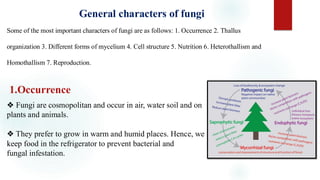 Presentation fungi pdf general characteristics of fungi | PDF