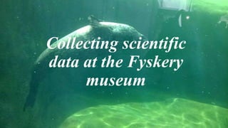 Collecting scientific
data at the Fyskery
museum
 
