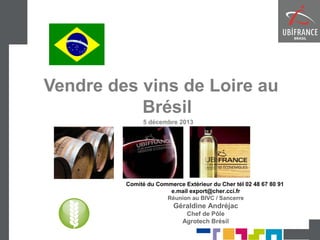 Vendre des vins de Loire au
Brésil
5 décembre 2013

Comité du Commerce Extérieur du Cher tél 02 48 67 80 91
e.mail export@cher.cci.fr
Réunion au BIVC / Sancerre

Géraldine Andréjac
Chef de Pôle
Agrotech Brésil

 