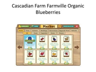 Cascadian Farm Farmville Organic
          Blueberries
 