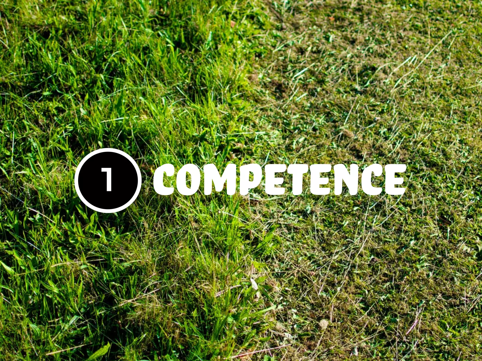 1 competence
 