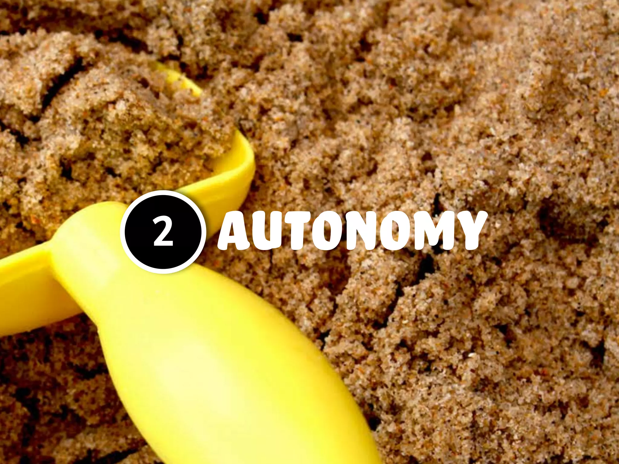 Autonomy2
 