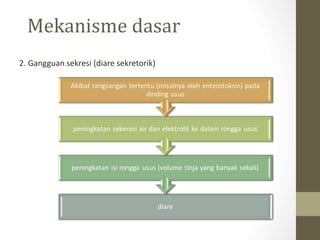 Mekanisme dasar
2. Gangguan sekresi (diare sekretorik)
 