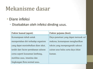 Mekanisme dasar
• Diare infeksi
• Disebabkan oleh infeksi dinding usus.
Faktor kausal (agent) Faktor pejamu (host)
Kemampuan tubuh untuk
mempertahan diri terhadap organism
yang dapat menimbulkan diare akut,
terdiri dari factor pertahanan saluran
cerna seperti keasaman lambung,
motilitas usus, imunitas dan
lingkungan flora normal usus.
Daya penetrasi yang dapat merusak sel
mukosa, kemampuan menghasilkan
toksin yang mempengaruhi sekresi
cairan usus halus serta daya lekat
kuman.
 