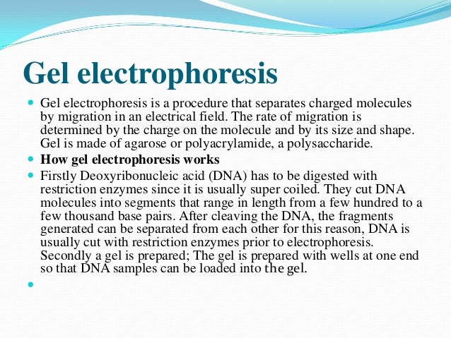 What Is Gel Electrophoresis Used For In Real Life