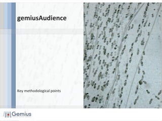 gemiusAudience
Key methodological points
 