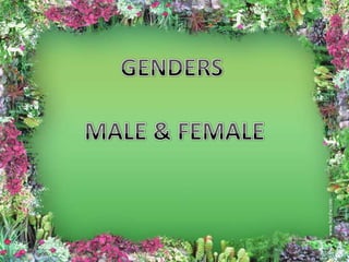 GENDERS MALE & FEMALE 