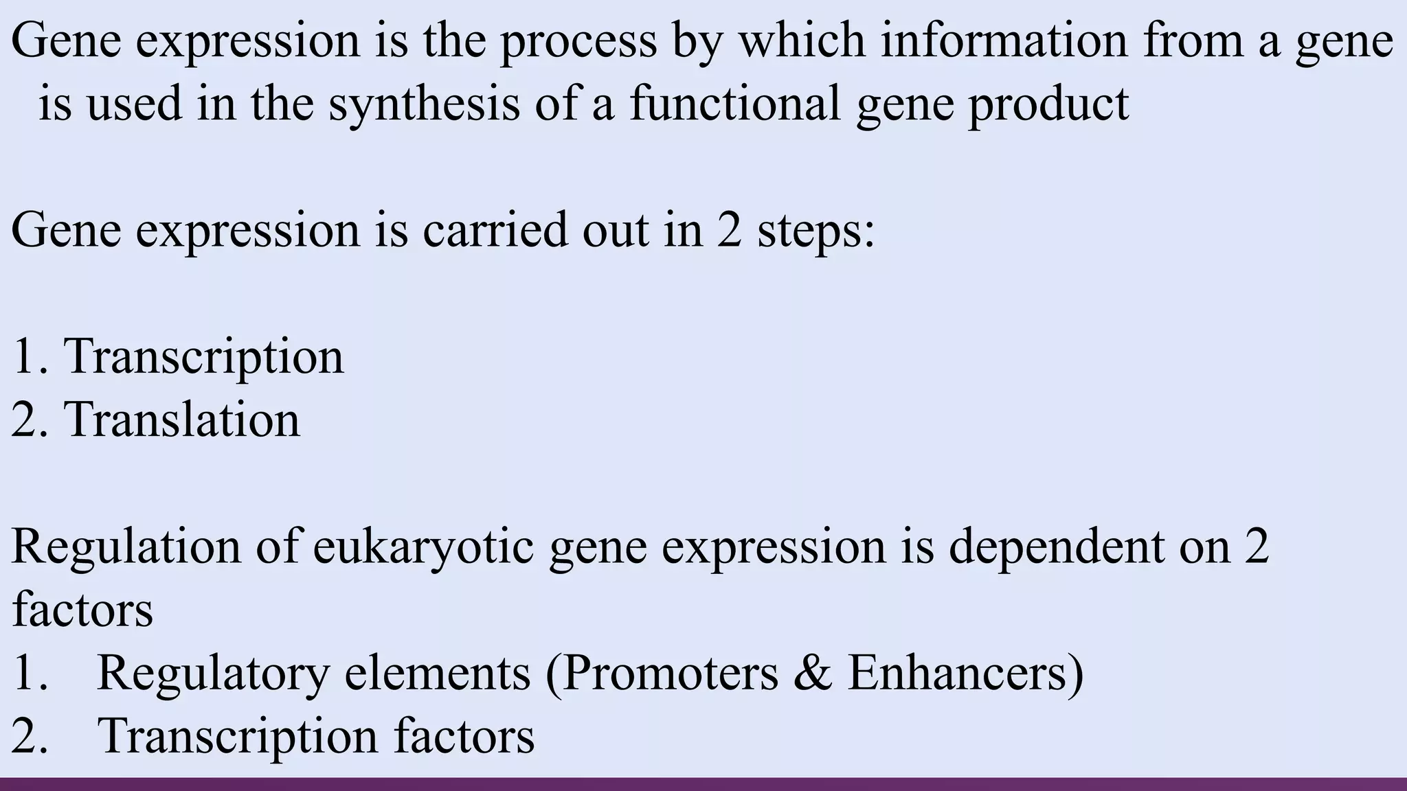 presentation gene expression and regulation in eukaryotes.pptx | Free ...