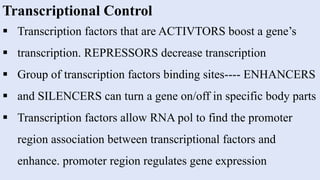 presentation gene expression and regulation in eukaryotes.pptx
