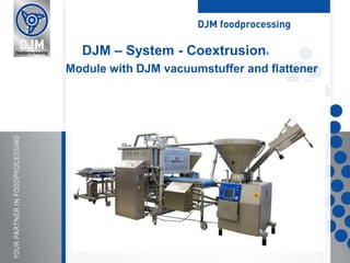 DJM – System - Coextrusion®
Module with DJM vacuumstuffer and flattener
 