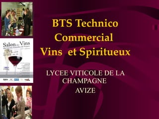 BTS Technico Commercial  Vins  et Spiritueux LYCEE VITICOLE DE LA CHAMPAGNE  AVIZE 