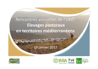 Rencontres annuelles de l’UMT
Elevages pastoraux
en territoires méditerranéens
19 janvier 2017
 
