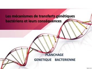 Les mécanismes de transferts génétiques
bactériens et leurs conséquences
PLANCHAGE
GENETIQUE BACTERIENNE
 