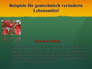Beispiele für gentechnisch veränderte Lebensmittel Flavr Savr Tomate Die lange haltbare „Flavr-Savr"-Tomate kam 1994 in den USA auf den Markt und war das erste gentechnisch modifizierte Lebensmittel, das die Verbraucher in den Läden kaufen konnten. Sie ist gentechnisch so verändert, dass sie für lange Zeit fest und frisch bleibt.  