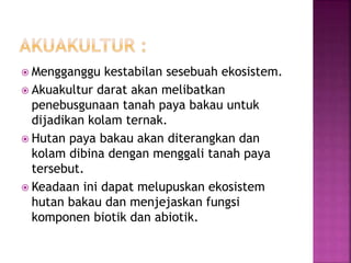  Mengganggu kestabilan sesebuah ekosistem. 
 Akuakultur darat akan melibatkan 
penebusgunaan tanah paya bakau untuk 
dijadikan kolam ternak. 
 Hutan paya bakau akan diterangkan dan 
kolam dibina dengan menggali tanah paya 
tersebut. 
 Keadaan ini dapat melupuskan ekosistem 
hutan bakau dan menjejaskan fungsi 
komponen biotik dan abiotik. 
 