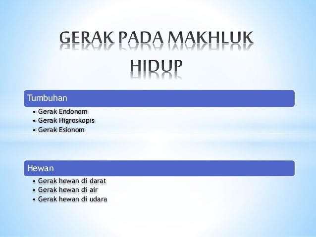 Presentation gerak  tumbuhan dan  hewan 