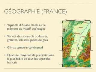 GÉOGRAPHIE (FRANCE)
Vignoble d'Alsace établi sur le
piémont du massif desVosges
Variété des sous-sols : calcaires,
granites, schistes, gneiss ou grès
Climat tempéré continental
Quantité moyenne de précipitations
la plus faible de tous les vignobles
français
 