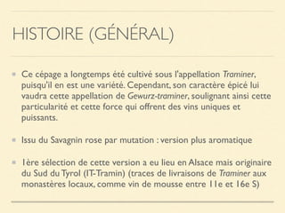 HISTOIRE (GÉNÉRAL)
Ce cépage a longtemps été cultivé sous l'appellation Traminer,
puisqu'il en est une variété. Cependant, son caractère épicé lui
vaudra cette appellation de Gewurz-traminer, soulignant ainsi cette
particularité et cette force qui offrent des vins uniques et
puissants.
Issu du Savagnin rose par mutation : version plus aromatique
1ère sélection de cette version a eu lieu en Alsace mais originaire
du Sud du Tyrol (IT-Tramin) (traces de livraisons de Traminer aux
monastères locaux, comme vin de mousse entre 11e et 16e S)
 
