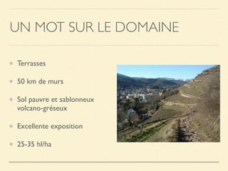 UN MOT SUR LE DOMAINE
Terrasses
50 km de murs
Sol pauvre et sablonneux
volcano-gréseux
Excellente exposition
25-35 hl/ha
 