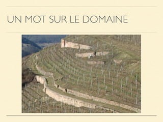 UN MOT SUR LE DOMAINE
 