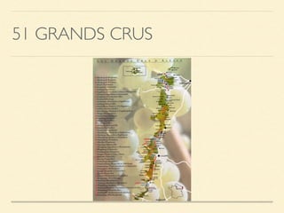 51 GRANDS CRUS
 