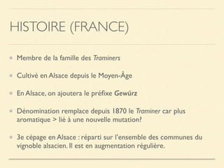 HISTOIRE (FRANCE)
Membre de la famille des Traminers
Cultivé en Alsace depuis le Moyen-Âge
En Alsace, on ajoutera le préﬁxe Gewürz
Dénomination remplace depuis 1870 le Traminer car plus
aromatique > lié à une nouvelle mutation?
3e cépage en Alsace : réparti sur l’ensemble des communes du
vignoble alsacien. Il est en augmentation régulière.
 