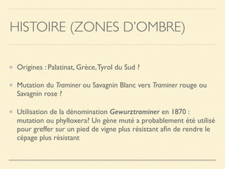HISTOIRE (ZONES D’OMBRE)
Origines : Palatinat, Grèce,Tyrol du Sud ?
Mutation du Traminer ou Savagnin Blanc vers Traminer rouge ou
Savagnin rose ?
Utilisation de la dénomination Gewurztraminer en 1870 :
mutation ou phylloxera? Un gène muté a probablement été utilisé
pour greffer sur un pied de vigne plus résistant aﬁn de rendre le
cépage plus résistant
 