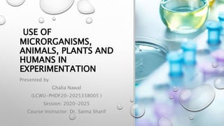 USE OF
MICRORGANISMS,
ANIMALS, PLANTS AND
HUMANS IN
EXPERIMENTATION
Presented by
Ghalia Nawal
(LCWU-PHDF20-2025338005 )
Session: 2020-2025
Course Instructor: Dr. Saima Sharif
 