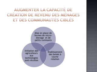 Mise en place de
          fermes de micro-
            élevage et de
          petits ruminants



Initiation des
                      Établissement
 agriculteurs
                       des boisés à
      aux
                          courte
technologies
                         rotation
post-récoltes
 