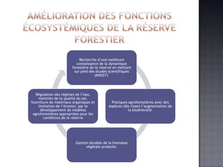 Recherche d’une meilleure
                          connaissance de la dynamique
                       forestière de la réserve en mettant
                        sur pied des études scientifiques
                                     (KNUST)




   Régulation des régimes de l’eau,
    maintien de la qualité du sol,
fourniture de matériaux organiques et         Pratiques agroforestières avec des
    limitation de l’érosion, par le         espèces clés visant l’augmentation de
      développement de modèles                          la biodiversité
 agroforestières appropriées pour les
       conditions de la réserve




                         Gestion durable de la biomasse
                               végétale produite.
 