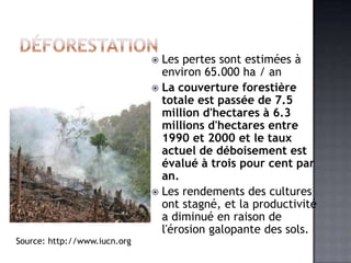  Les pertes sont estimées à
                                environ 65.000 ha / an
                               La couverture forestière
                                totale est passée de 7.5
                                million d'hectares à 6.3
                                millions d'hectares entre
                                1990 et 2000 et le taux
                                actuel de déboisement est
                                évalué à trois pour cent par
                                an.
                               Les rendements des cultures
                                ont stagné, et la productivité
                                a diminué en raison de
                                l'érosion galopante des sols.
Source: http://www.iucn.org
 