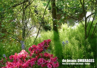 de beaux OMBRAGES
Parc de la Vallée aux loups - France
 