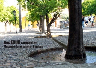 Des EAUX courantes
Mosquée des orangers - Cordoue
 