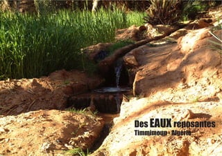 Des EAUX reposantes
Timmimoun - Algérie
 