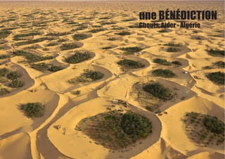 une BÉNÉDICTION
Ghouts, Ajder - Algérie
 