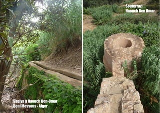 Saqiya à Haouch Ben-Omar
Beni Messous - Alger
Souterrazi
Haouch Ben Omar
 