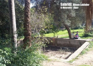 Sahridj Djnen Lakhder
El-Mouradia - Alger
 