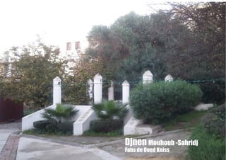 Djnen Mouhoub -Sahridj
Fahs de Oued Kniss
 