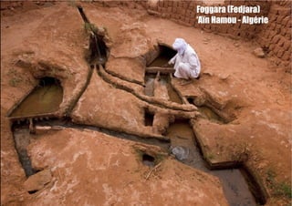 Foggara (Fedjara)
‘Aïn Hamou - Algérie
 