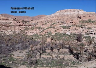 Palmeraie (Ghaba !)
Ghoufi - Algérie
 